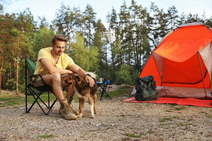 8 tips for camping with your dog