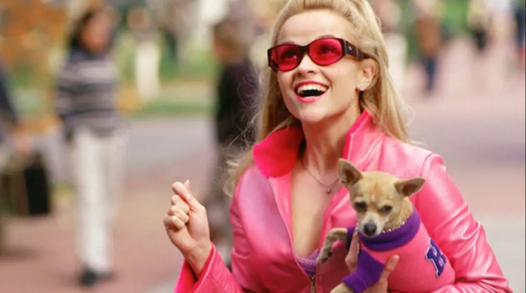 The script for Legally Blonde 3 is currently in the works