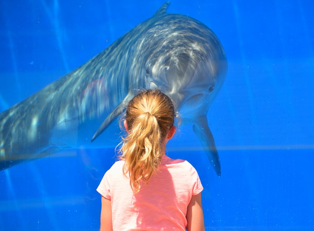 Best Aquariums and Zoos in Brisbane
