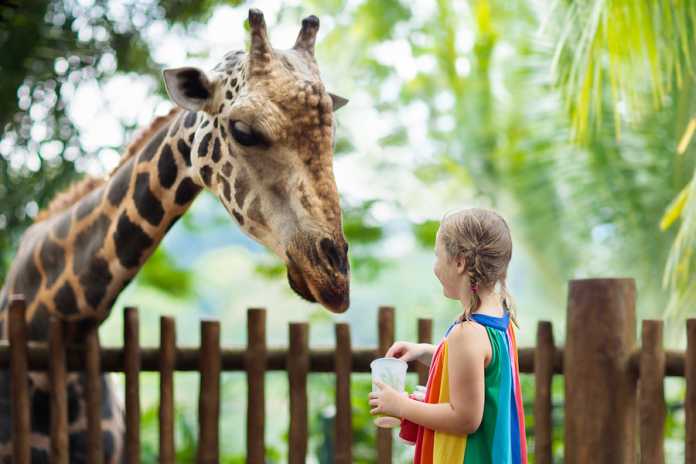 Best Zoos in Adelaide Best Zoos in Adelaide