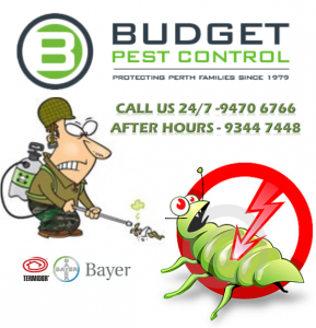 Budget Pest Control