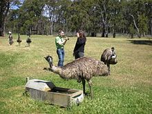 Cleland Conservation Park