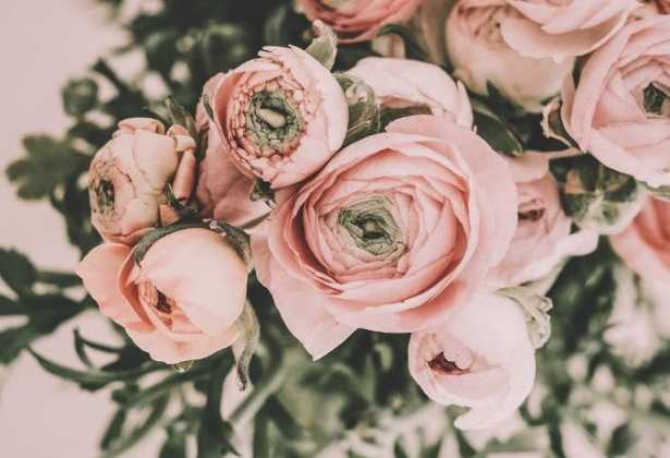 6 Best Florists In Perth - The Top Rated Florists