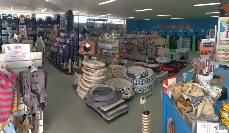 5 Best Pet Shops in Sydney Top Rated Pet Shops