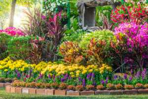 Perth Garden Services