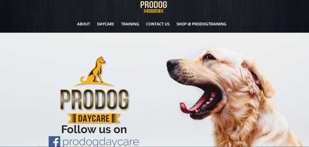 Best Pet Care Centre in Melbourne