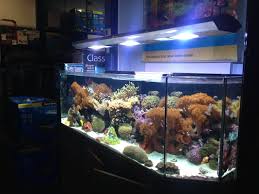 Seaview Aquarium Centre