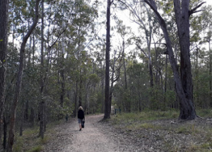 Venman Bushland National Park