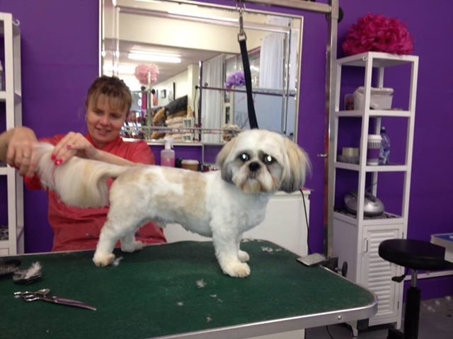 Woofers Dog Grooming