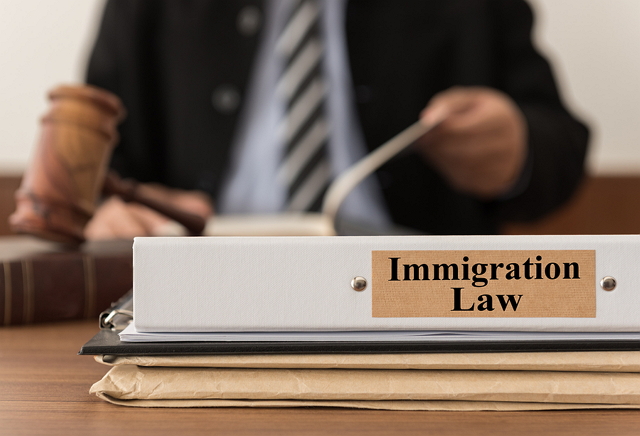 Best Immigration Lawyers in Brisbane