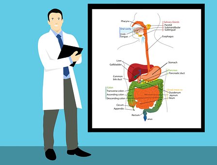 Best Radiologists in Adelaide