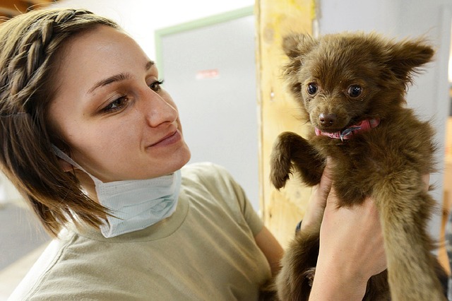 Adelaide Northern Veterinary Group