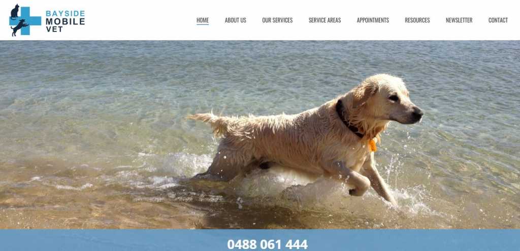 Best Veterinarians in Melbourne