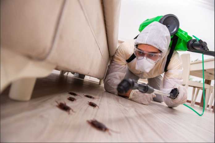 Best Exterminator Companies in Melbourne Best Exterminator Companies in Melbourne