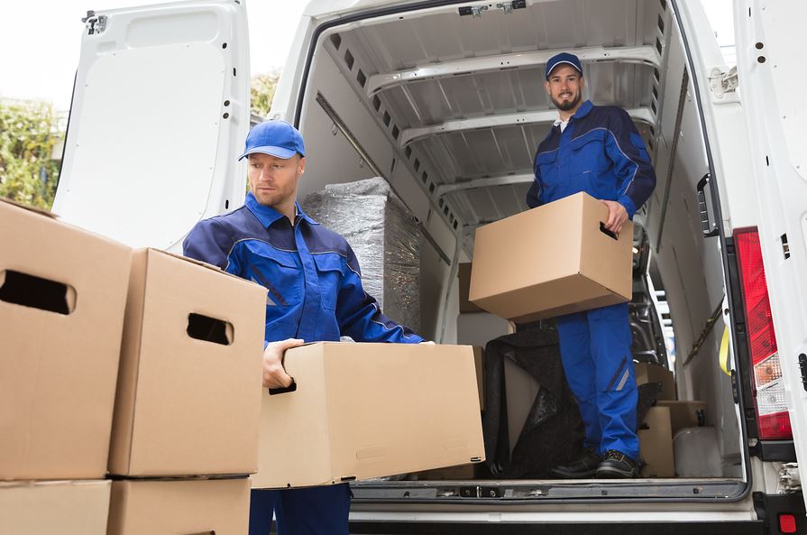 Best Removalists