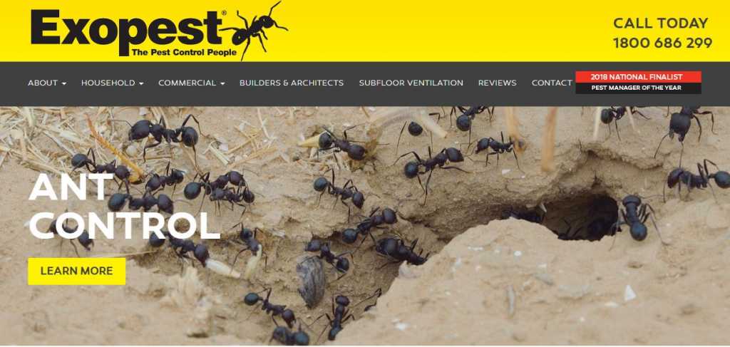 Best Pest Control Companies in Melbourne