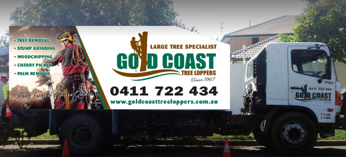 Gold Coast Tree Loppers
