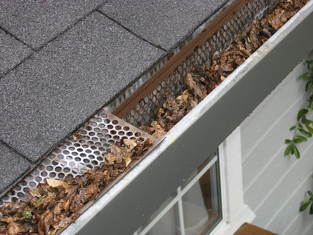 Gutter needs cleaning