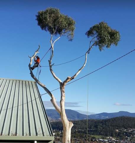 Horizon Tree Service