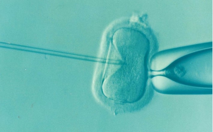 Couple gives birth to wrong children after IVF misstep