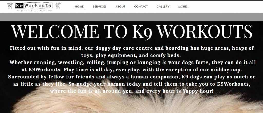 Best Dog Day Care Centers in Melbourne