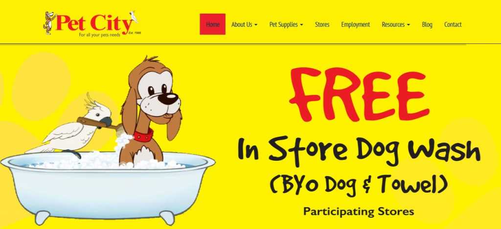 pet city pet shops