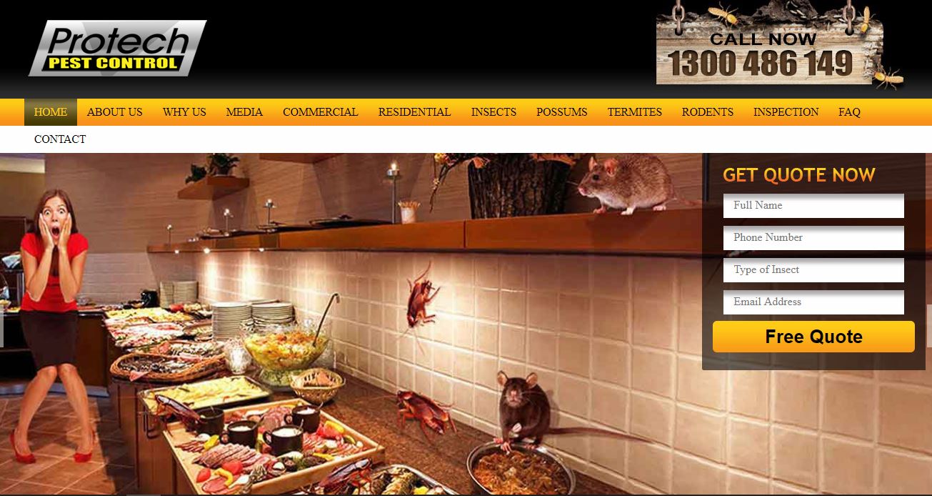 pro pacific pest control pro pacific pest control