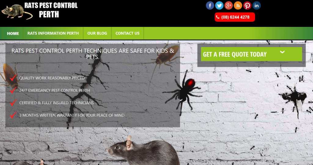 Rats Pest Control Perth