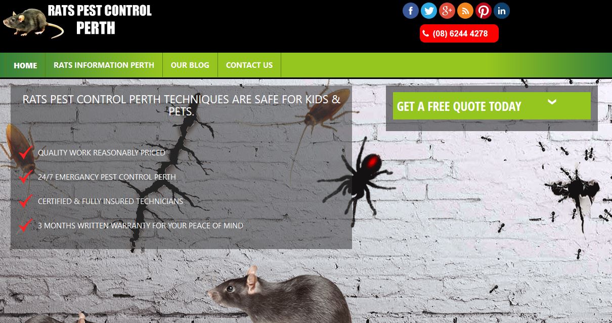 3 Best Exterminators in Perth Top Rated Exterminators