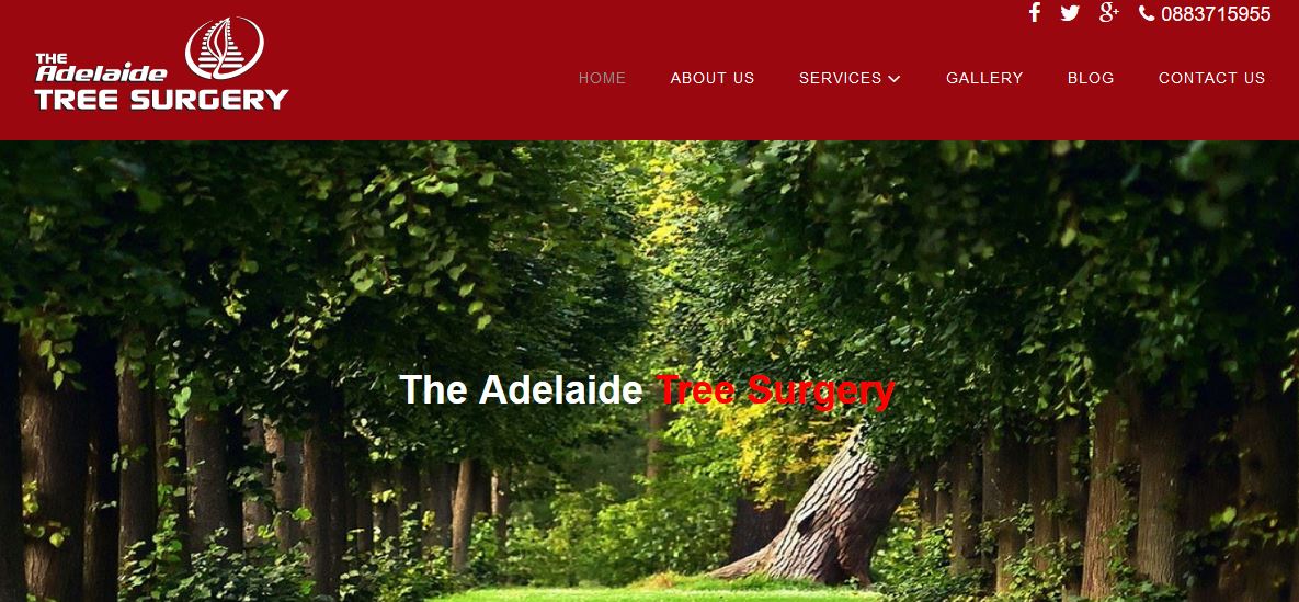 The Adelaide Tree Surgery