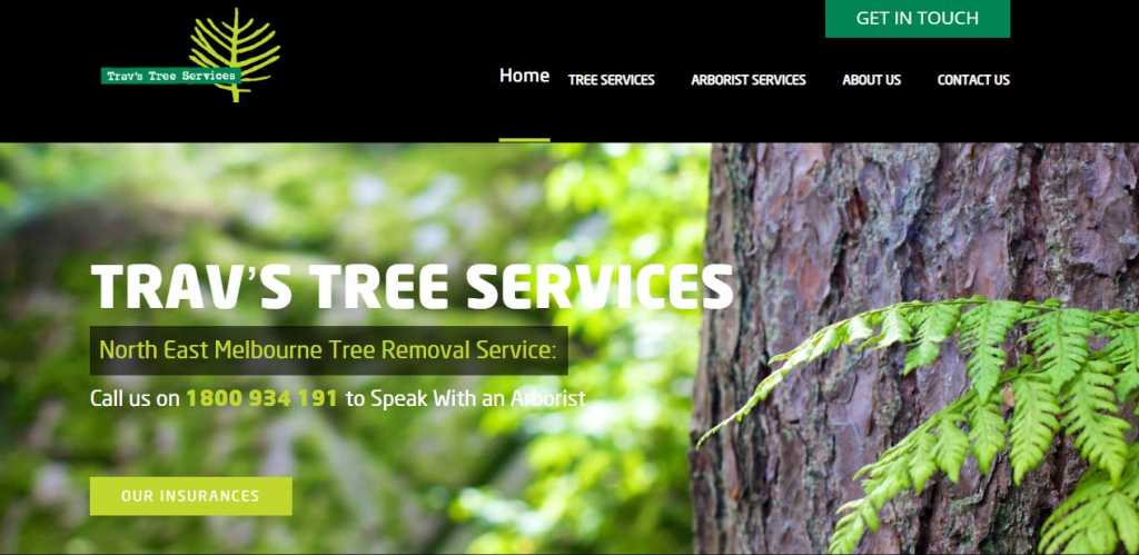 Best Tree Services in Melbourne