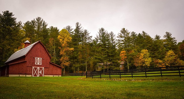 How does the modern dairy industry work?