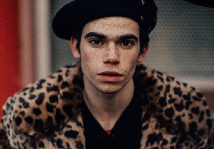 Disney actor Cameron Boyce’s parents remember him as “our shooting star”