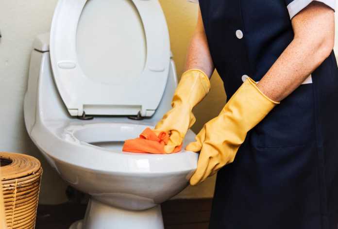 Best House Cleaning Services in Newcastle A person cleaning the toilet bowl.