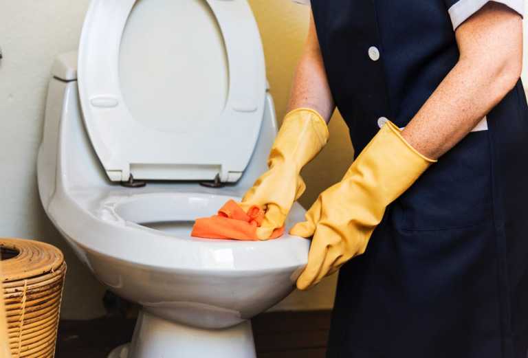 A person cleaning the toilet bowl.