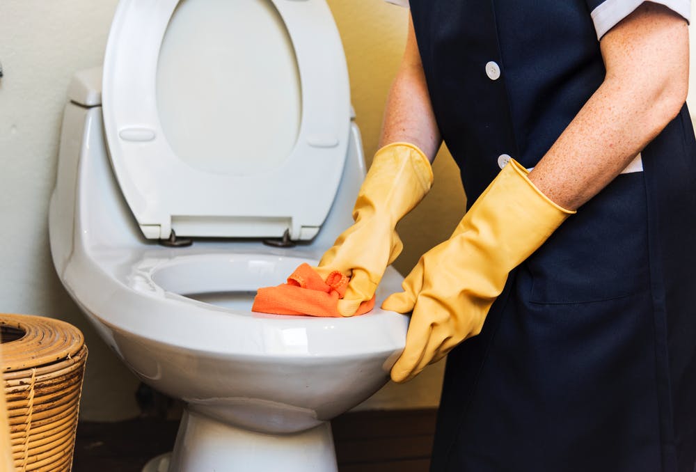 A person cleaning the toilet bowl.