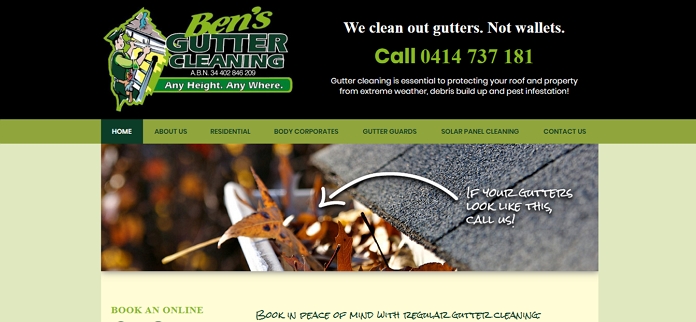 Ben's Gutter Cleaning