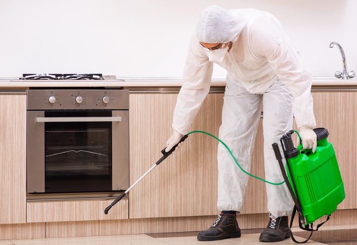 Best Pest Control Services in Canberra