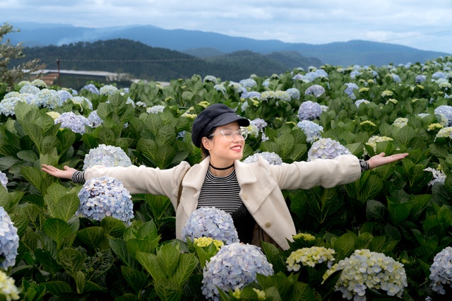 Best get well soon flowers for loved ones