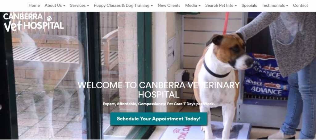 Best veterinary Clinics in Canberra