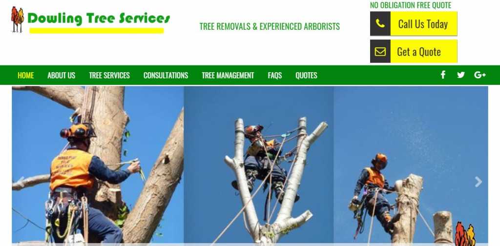 Best Tree Services in Canberra