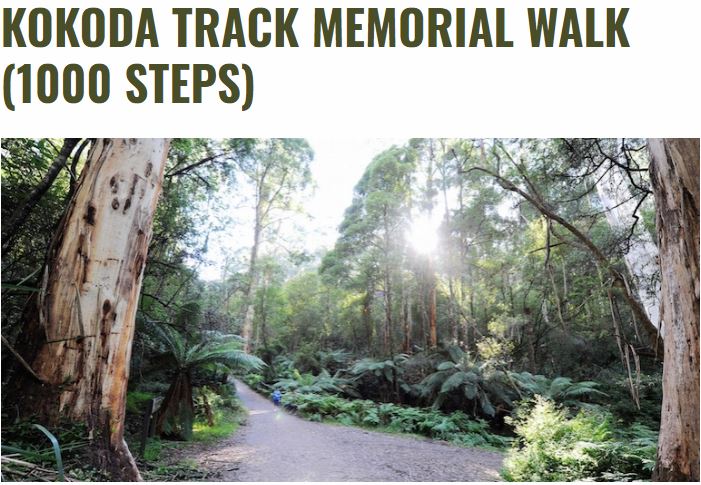 Best Bush Walk Places in Melbourne