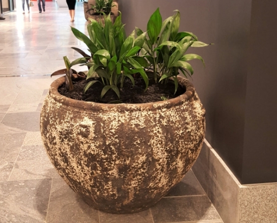 PotsandPlanters.com.au