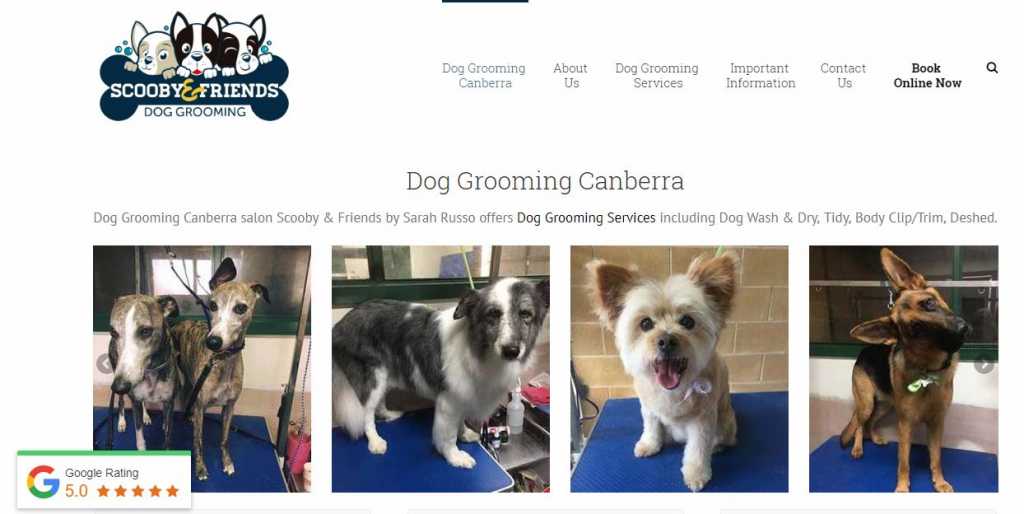 Best Dog Grooming Services in Canberra