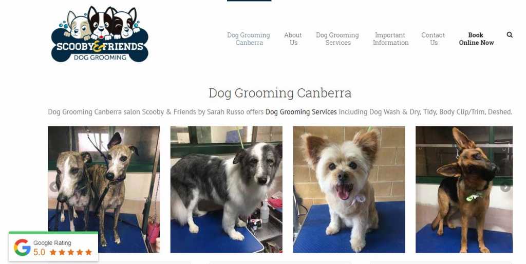 best friends dog grooming