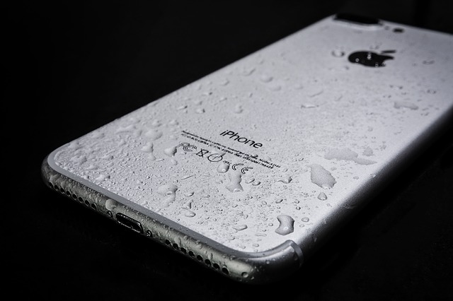 Water damaged iPhone