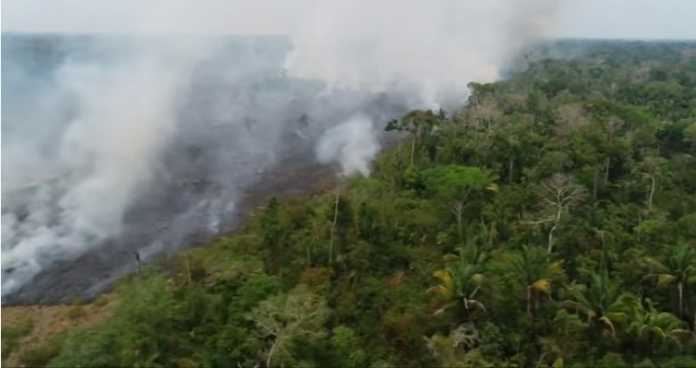 Brazil refuses to accept $20m Amazon aid from G7 countries Brazil refuses to accept $20m Amazon aid from G7 countries