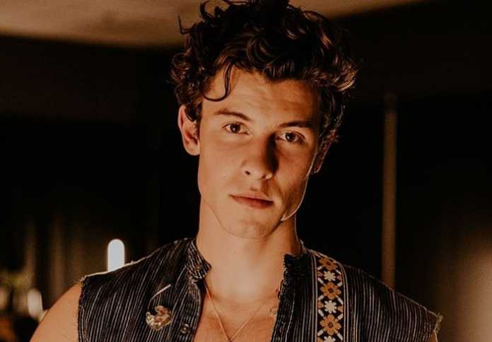 Shawn Mendes introduces charity foundation to support fan causes Shawn Mendes introduces charity foundation to support fan causes