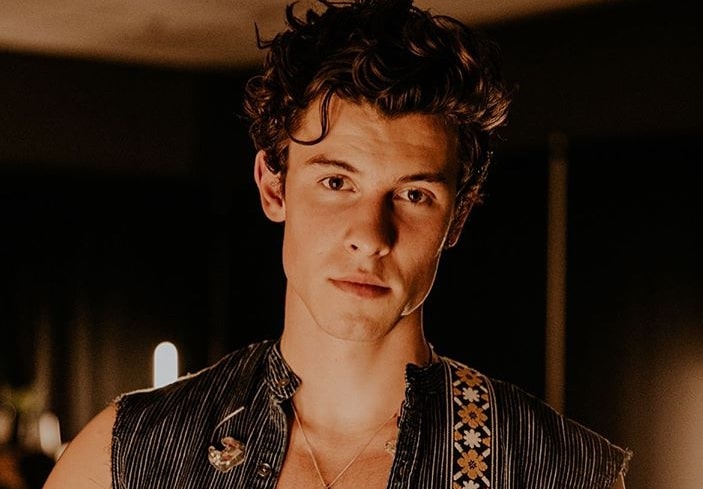 Shawn Mendes introduces charity foundation to support fan causes