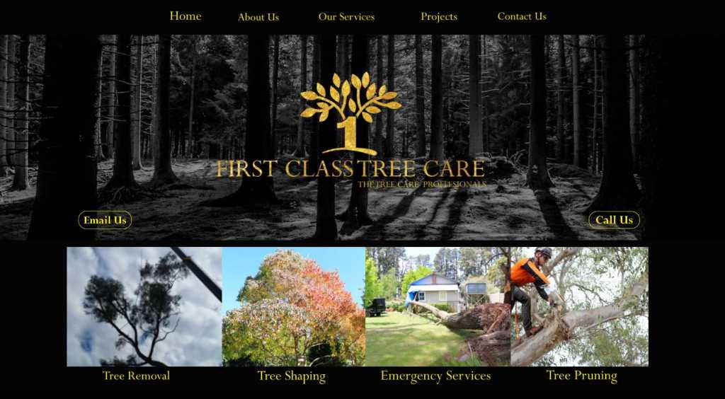 Best Arborists in Canberra